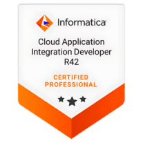 Informatica Cloud Application Integration Developer 42